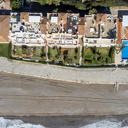 Vivi Homes - Picasso *