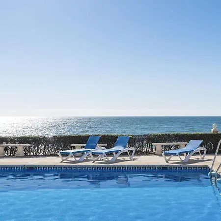 Vivi Homes - Picasso