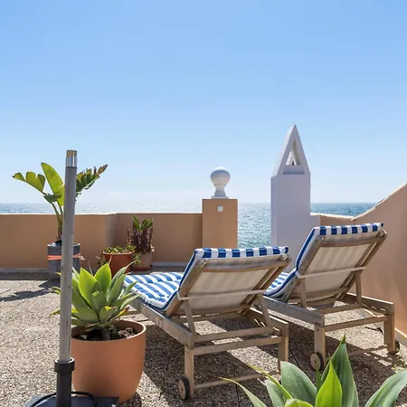 Vivi Homes - Picasso