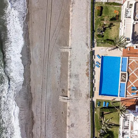 Vivi Homes - Picasso *